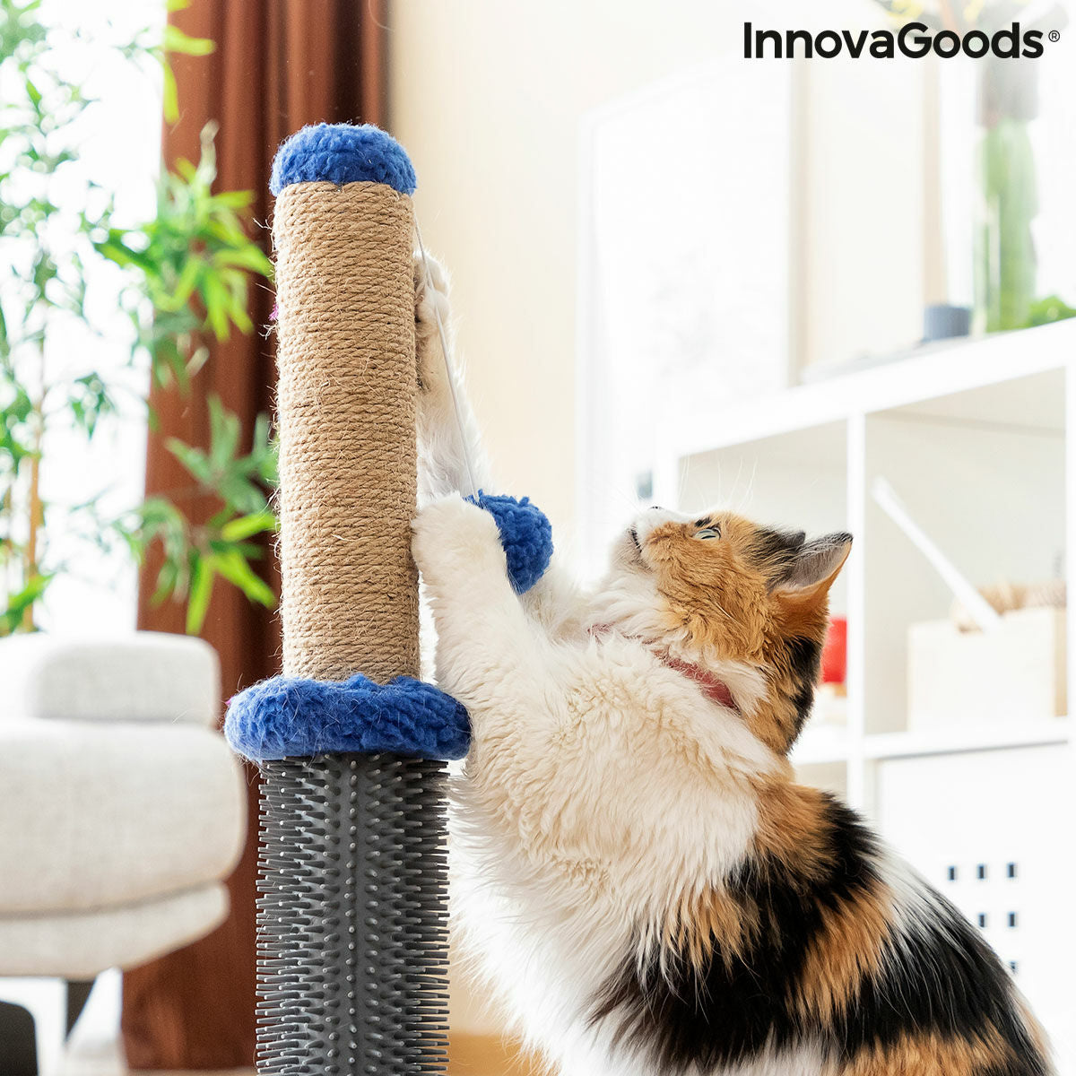 Poste rascador y de masaje para gatos con pelota InnovaGoods