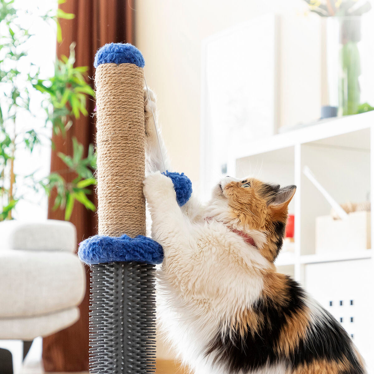 Poste rascador y de masaje para gatos con pelota InnovaGoods